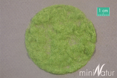 Mininatur 002-21, Gras, Flock 2 mm 50 g   Frühling